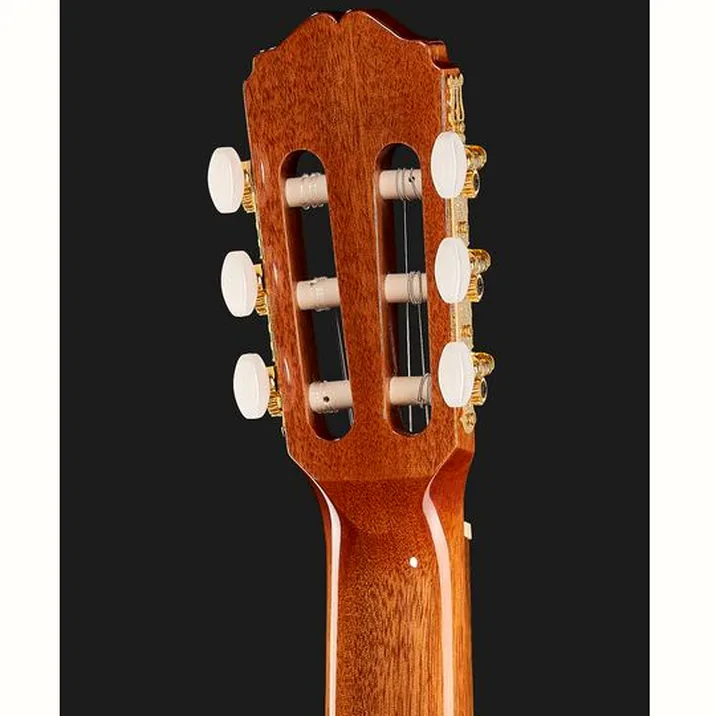 Takamine Gc5Ce Natur W Bag