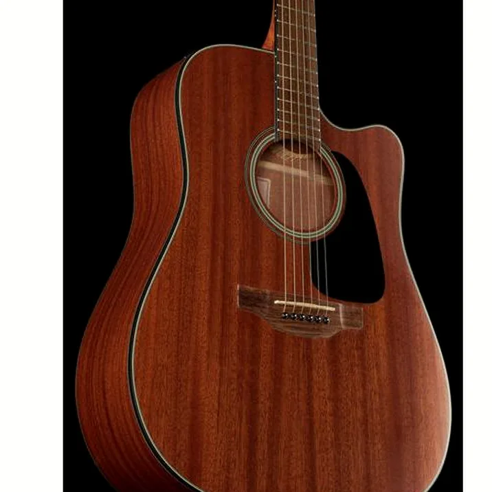 Takamine Gd11Mcens 2