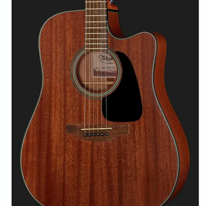 Takamine Gd11Mcens 2