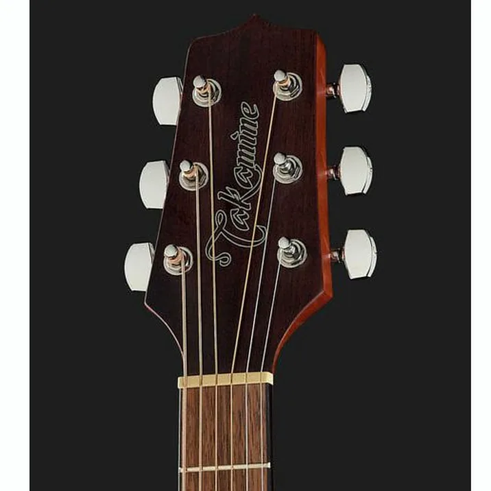 Takamine Gd11Mcens 2