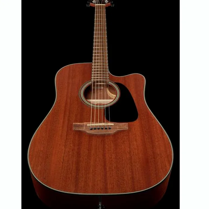 Takamine Gd11Mcens 2