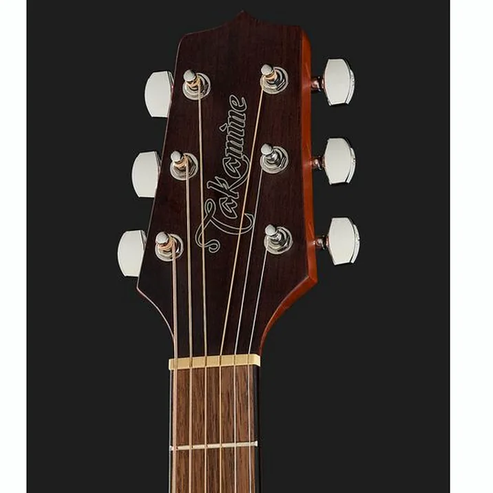 Takamine GD11MCENS w/Bag