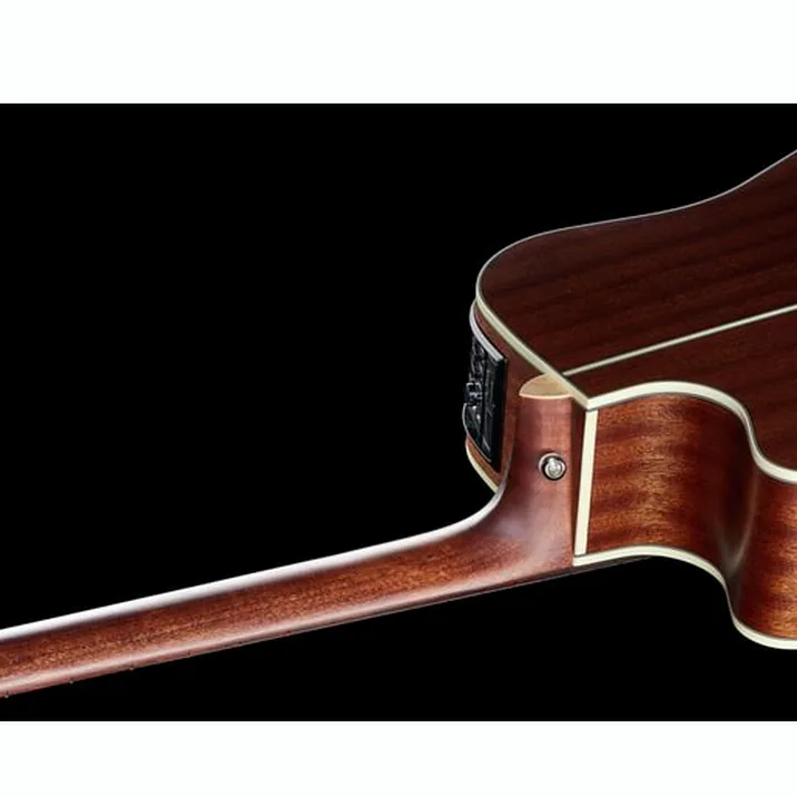 Takamine GD20CE-N