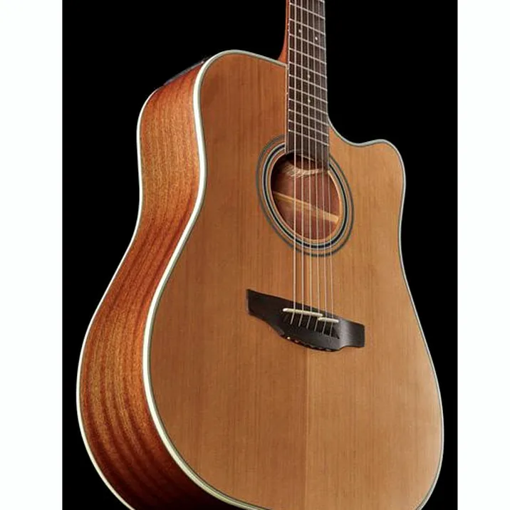 Takamine GD20CE-N