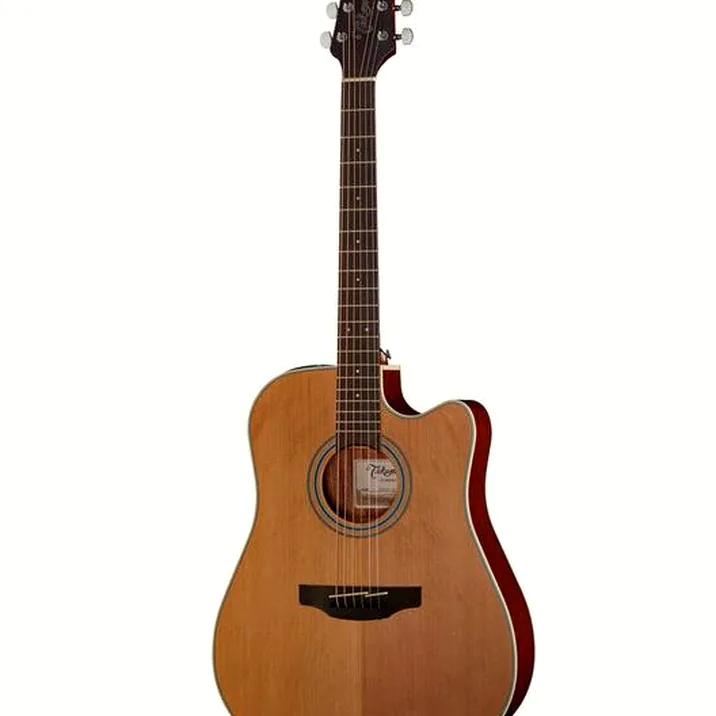 Takamine GD20CE-N