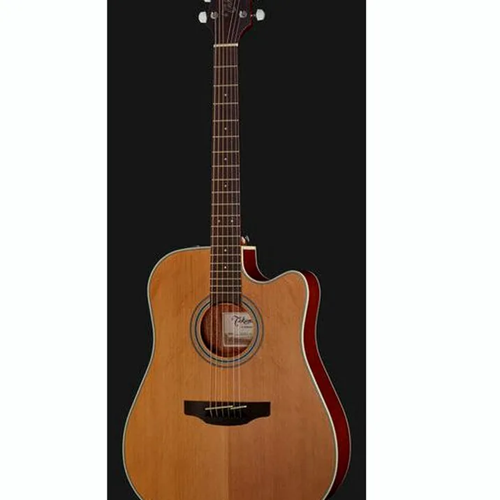 Takamine GD20CE-N