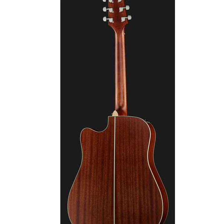 Takamine GD20CE-N