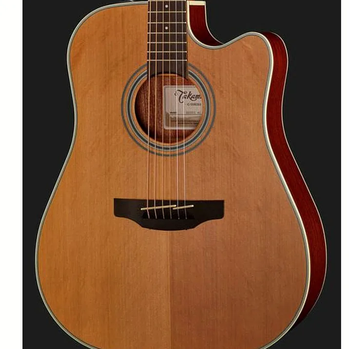 Takamine GD20CE-N