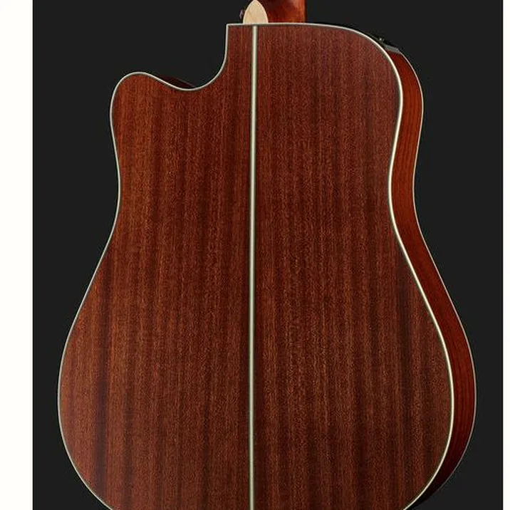 Takamine GD20CE-N