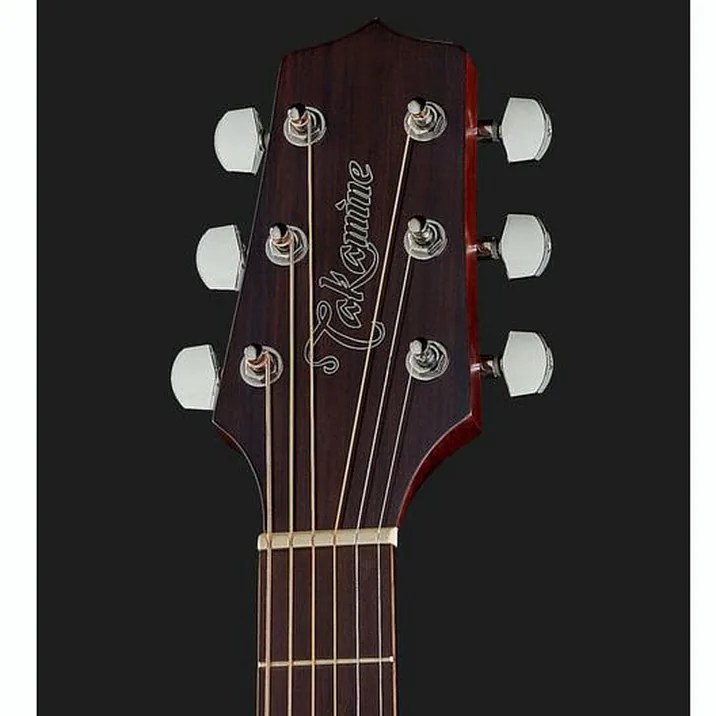 Takamine GD20CE-N