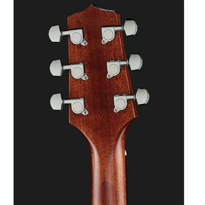 Takamine GD20CE-N