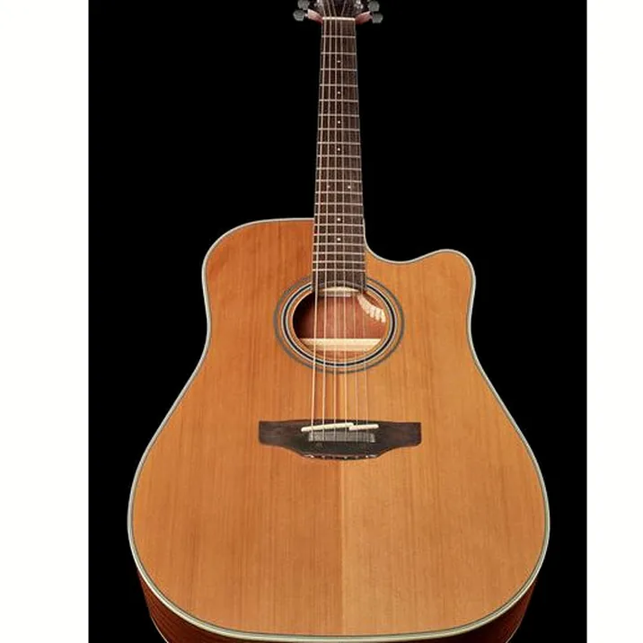 Takamine GD20CE-N