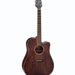 Todo sobre la Takamine GD21CE SM : Opiniones de músicos