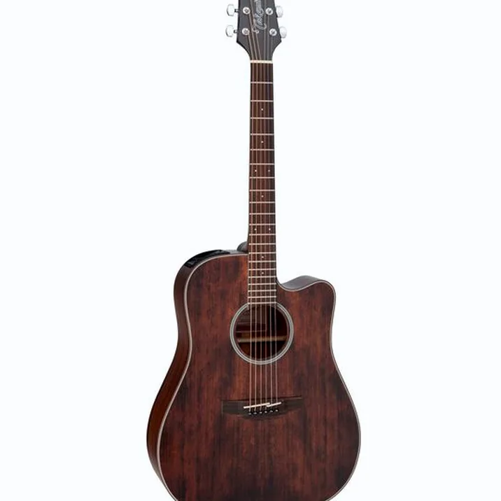 Takamine GD21CE SM