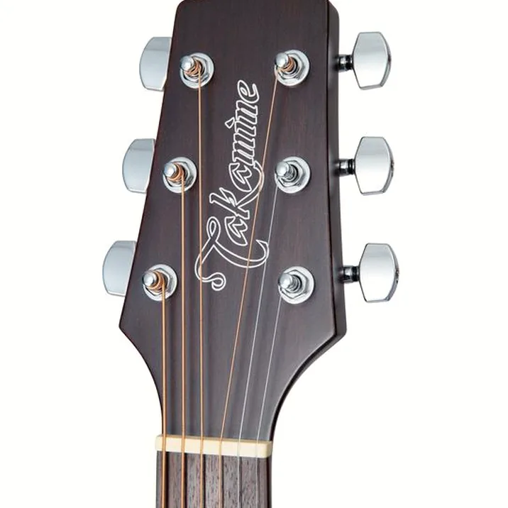 Takamine GD21CE SM
