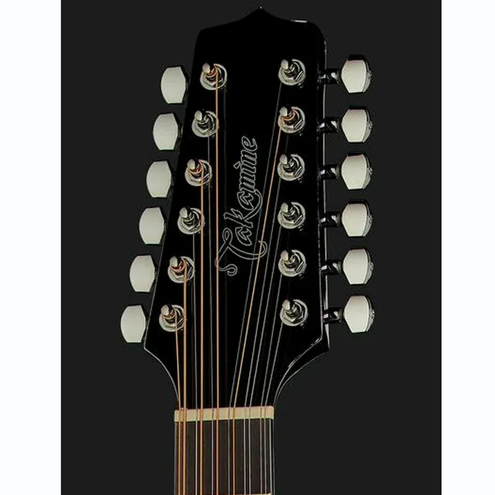 Takamine Gd30Ce 12B 2