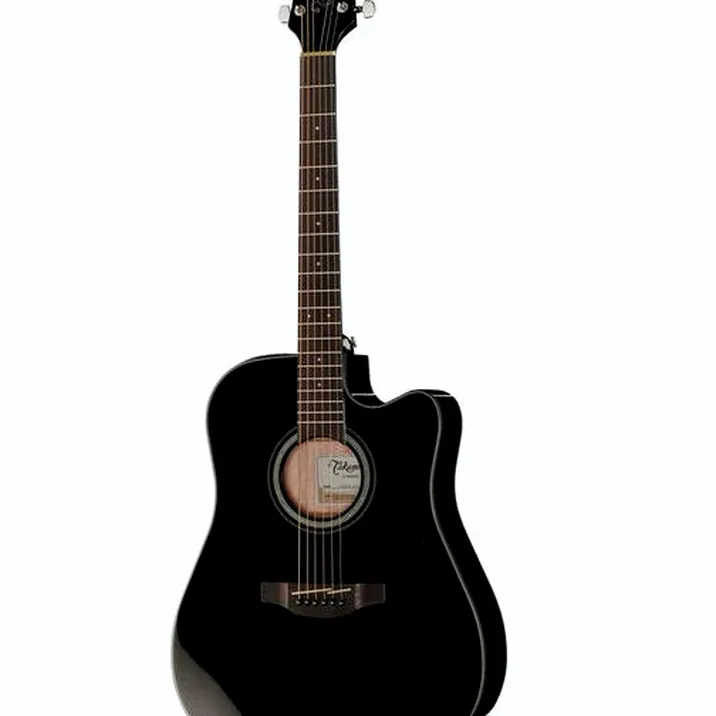 Takamine GD30CE-B