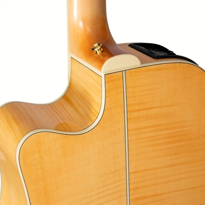Takamine GD74CE-12U NAT