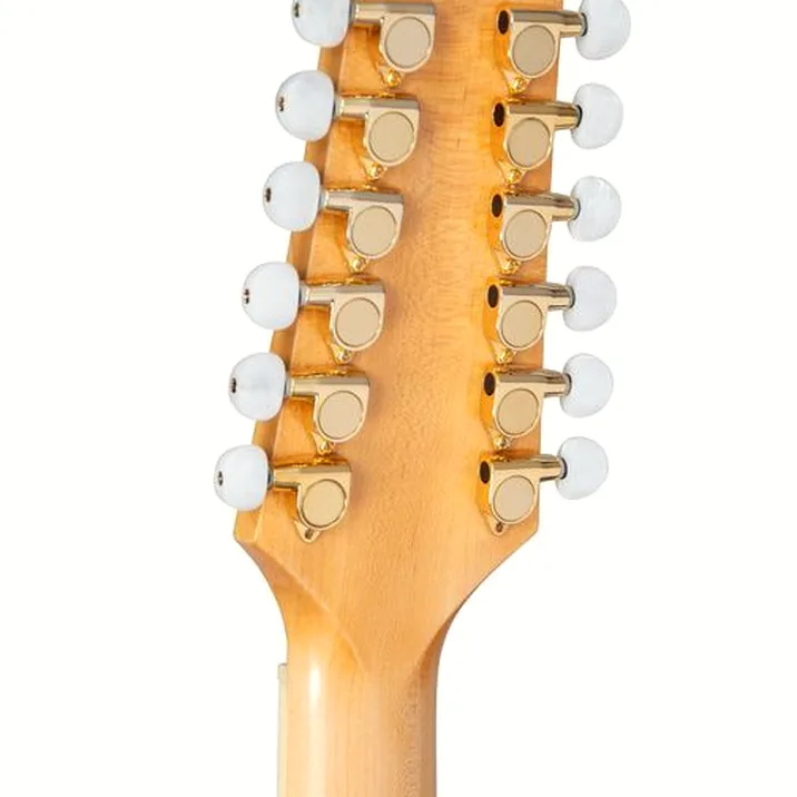 Takamine GD74CE-12U NAT