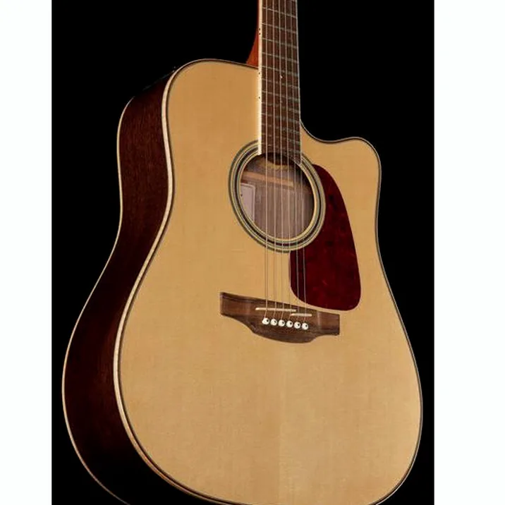 Takamine Gd93Ce Nat 2
