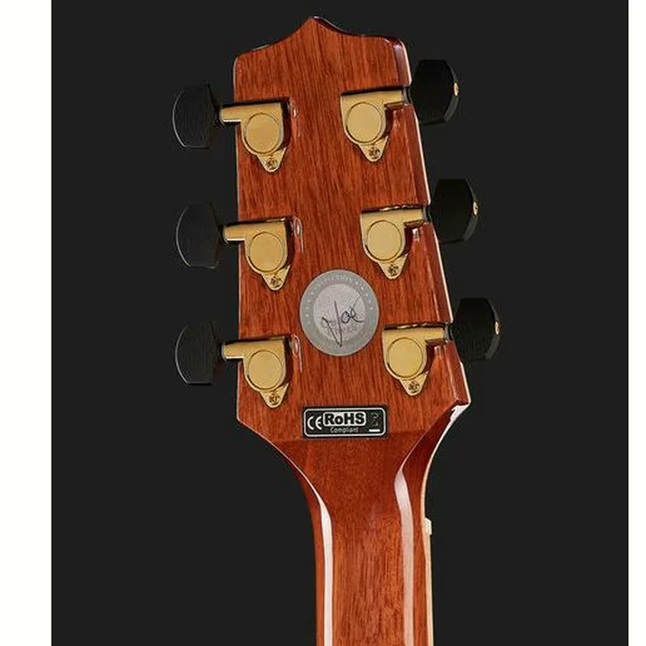 Takamine Gd93Ce Nat 2