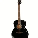 Opiniones verificadas : Todo sobre la Takamine GN30 B