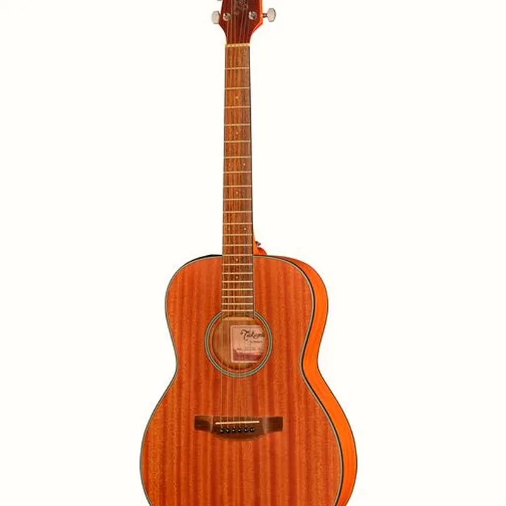 Takamine GY11MENS