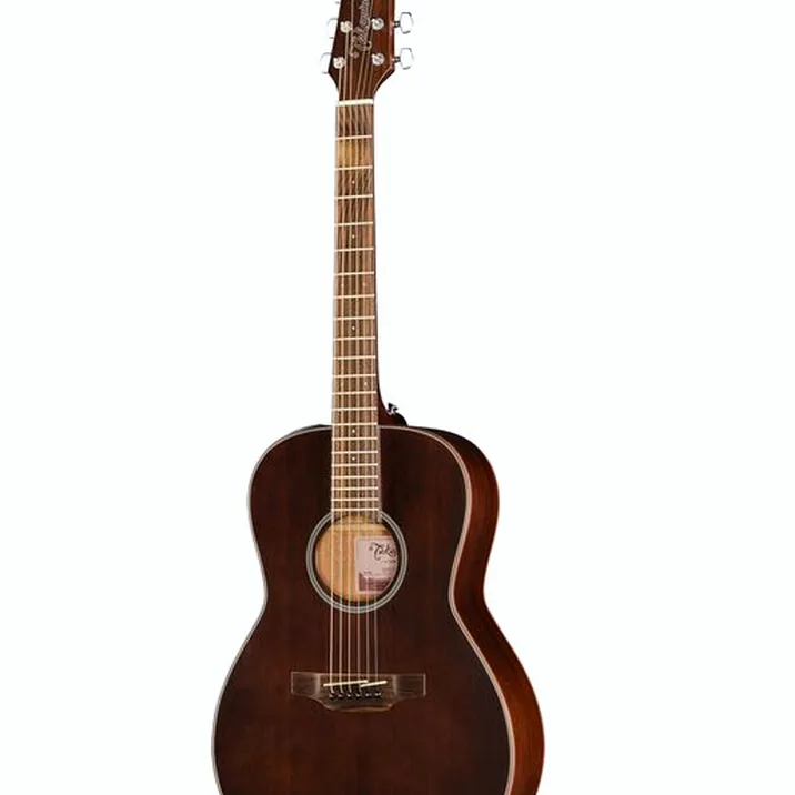 Takamine GY21E SM