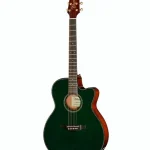 La verdad sobre la Takamine LTD2025 : Análisis sin filtros
