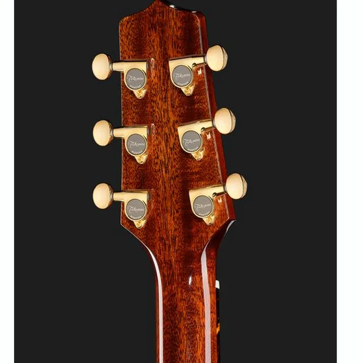 Takamine LTD2025