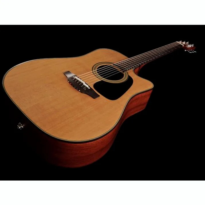 Takamine P1Dc
