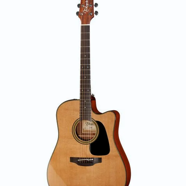 Takamine P1DC