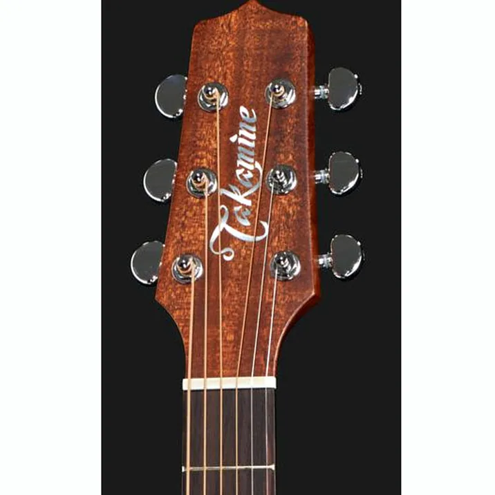 Takamine P1Dc