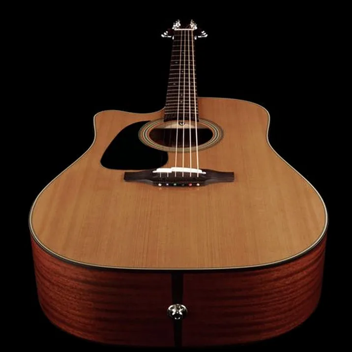 Takamine P1Dc Lh Pro Series