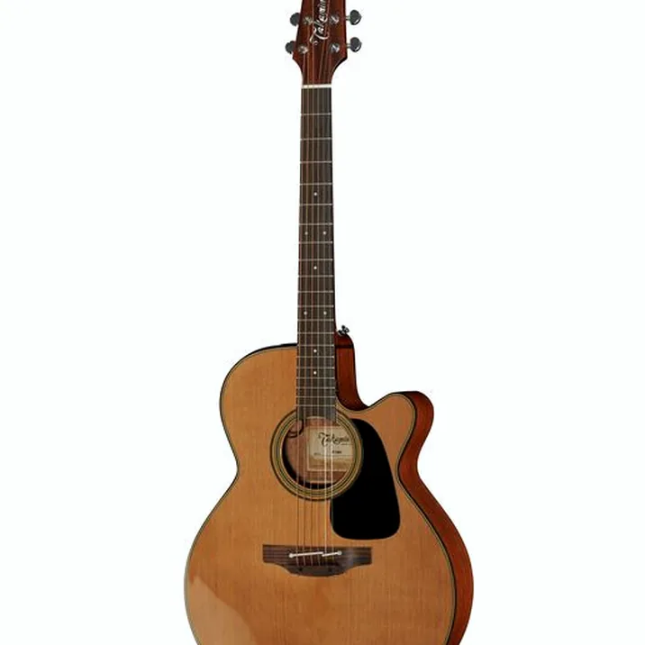 Takamine P1NC Pro Series