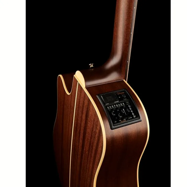 Takamine P3Dc 12 W Softcase