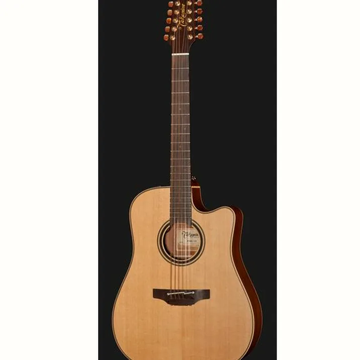 Takamine P3DC-12 w/Softcase