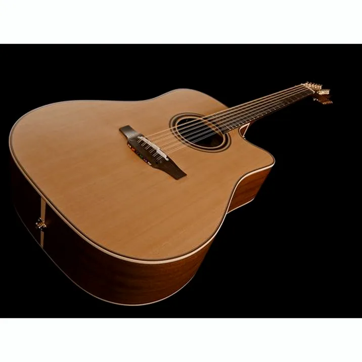 Takamine P3Dc 12 W Softcase