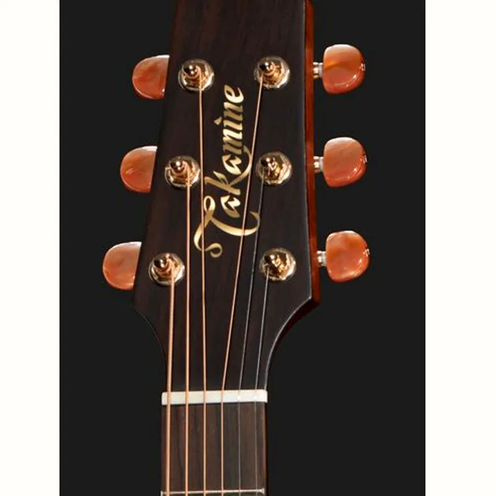 Takamine P3DC w/Softcase