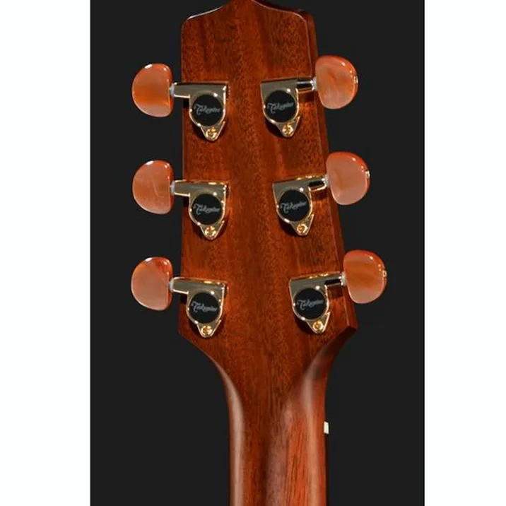Takamine P3DC w/Softcase