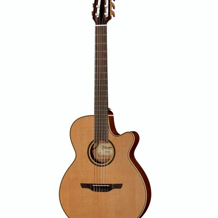 Takamine P3FCN