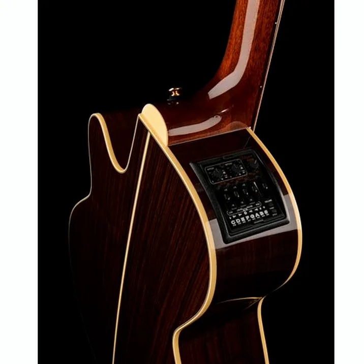 Takamine P5NC w/Softcase