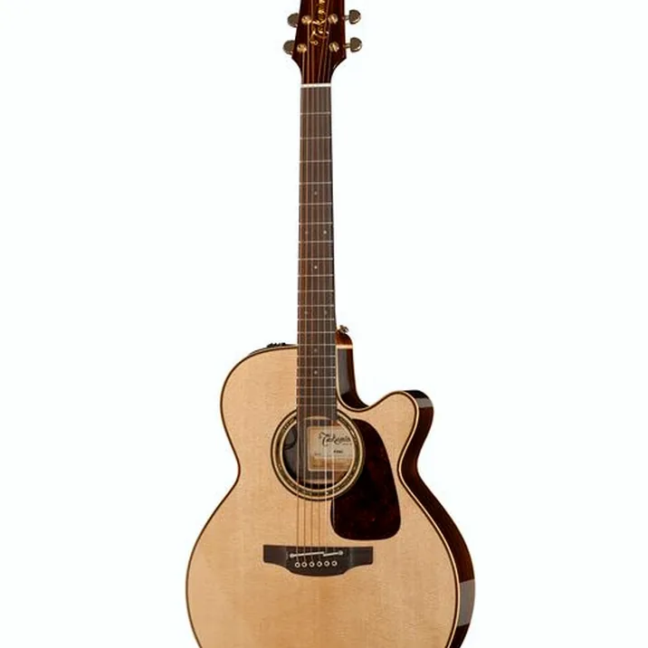 Takamine P5NC w/Softcase