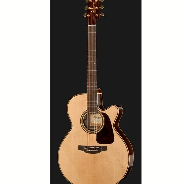 Takamine P5NC w/Softcase