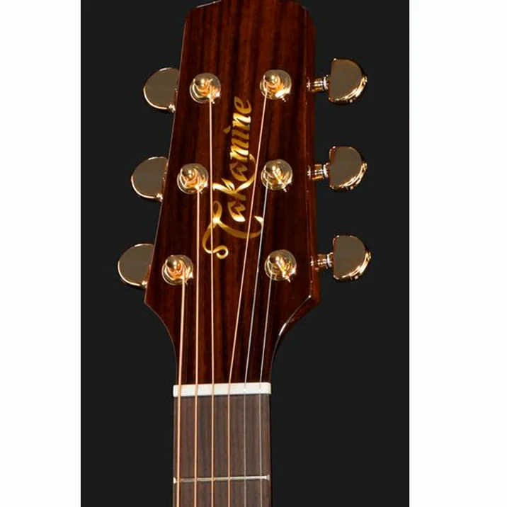 Takamine P5NC w/Softcase
