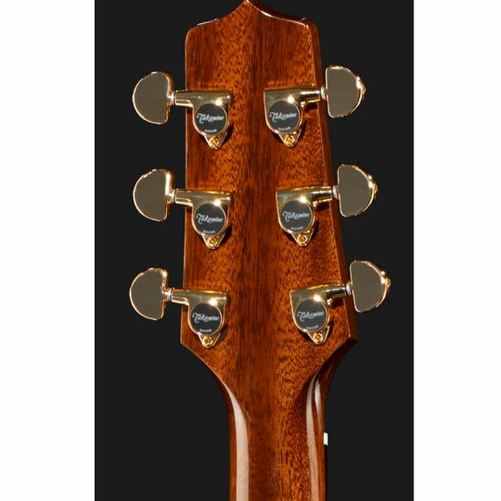 Takamine P5NC w/Softcase