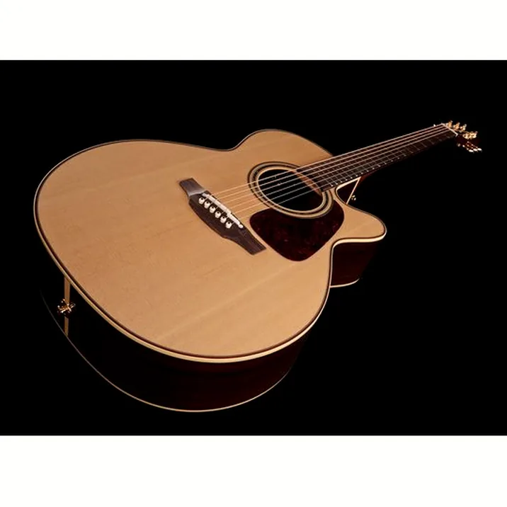 Takamine P5NC w/Softcase