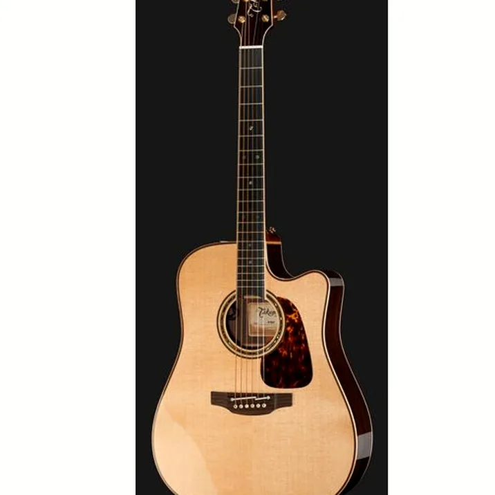 Takamine P7DC w/Softcase