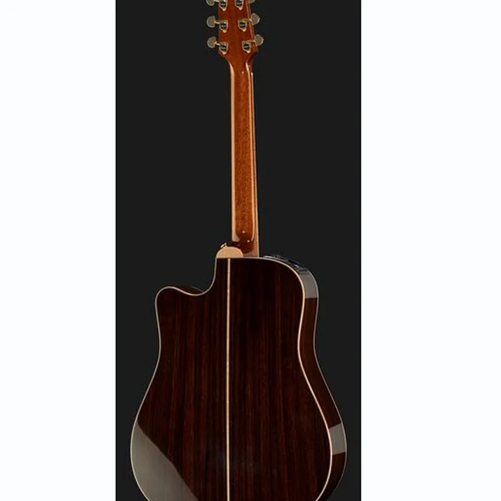 Takamine P7DC w/Softcase