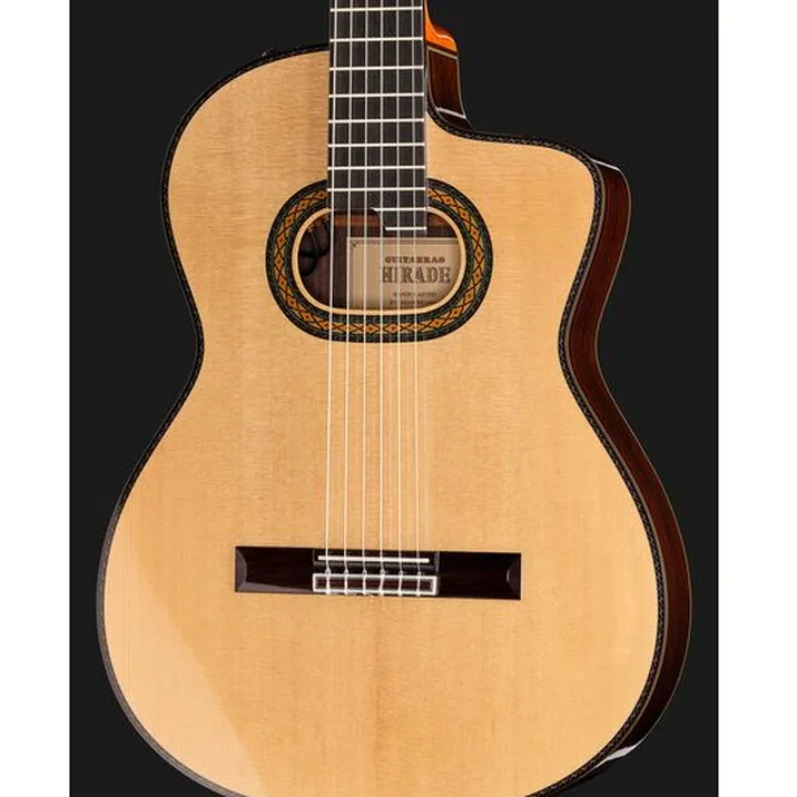 Takamine DH90 w/Softcase